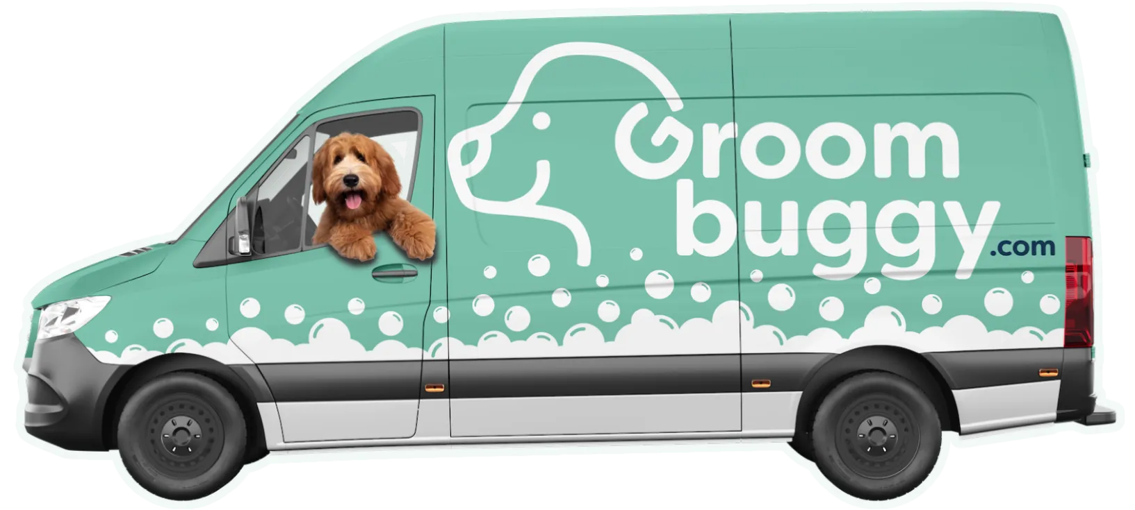 dog grooming aurora co