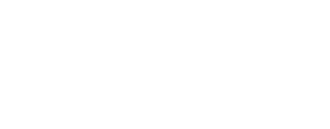 dollar bigboss logo