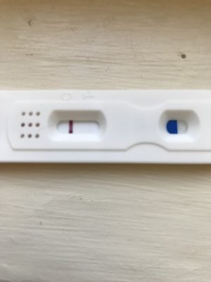 dollarama pregnancy test