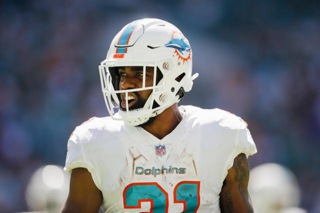 dolphins rb