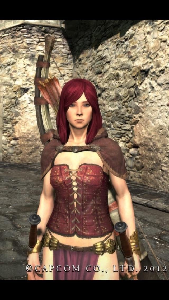 dragons dogma equipment