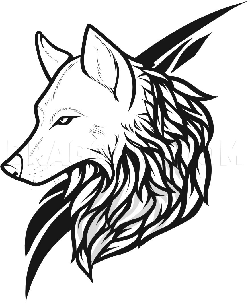 drawing wolf tattoo