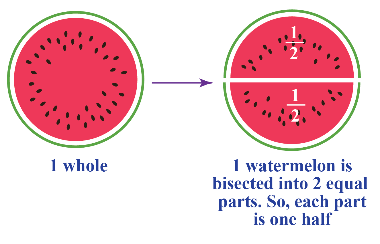 define bisect in geometry