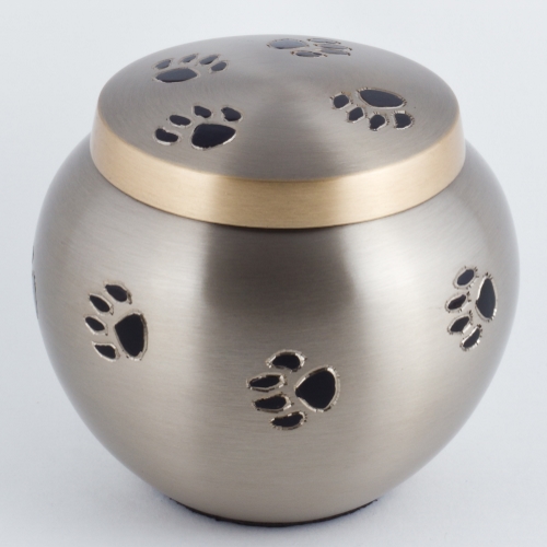 pet urn ashes