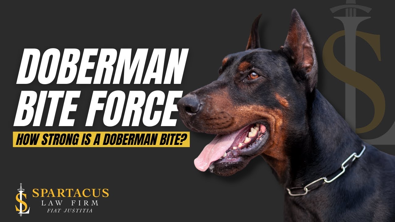 doberman pinscher bite pressure