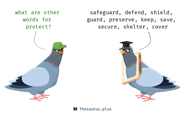 protect thesaurus