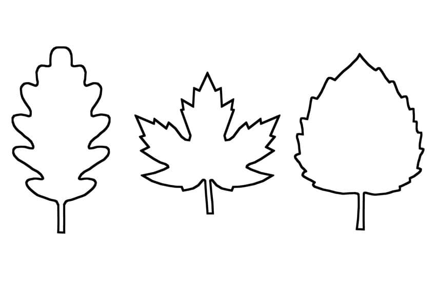 printable leaves