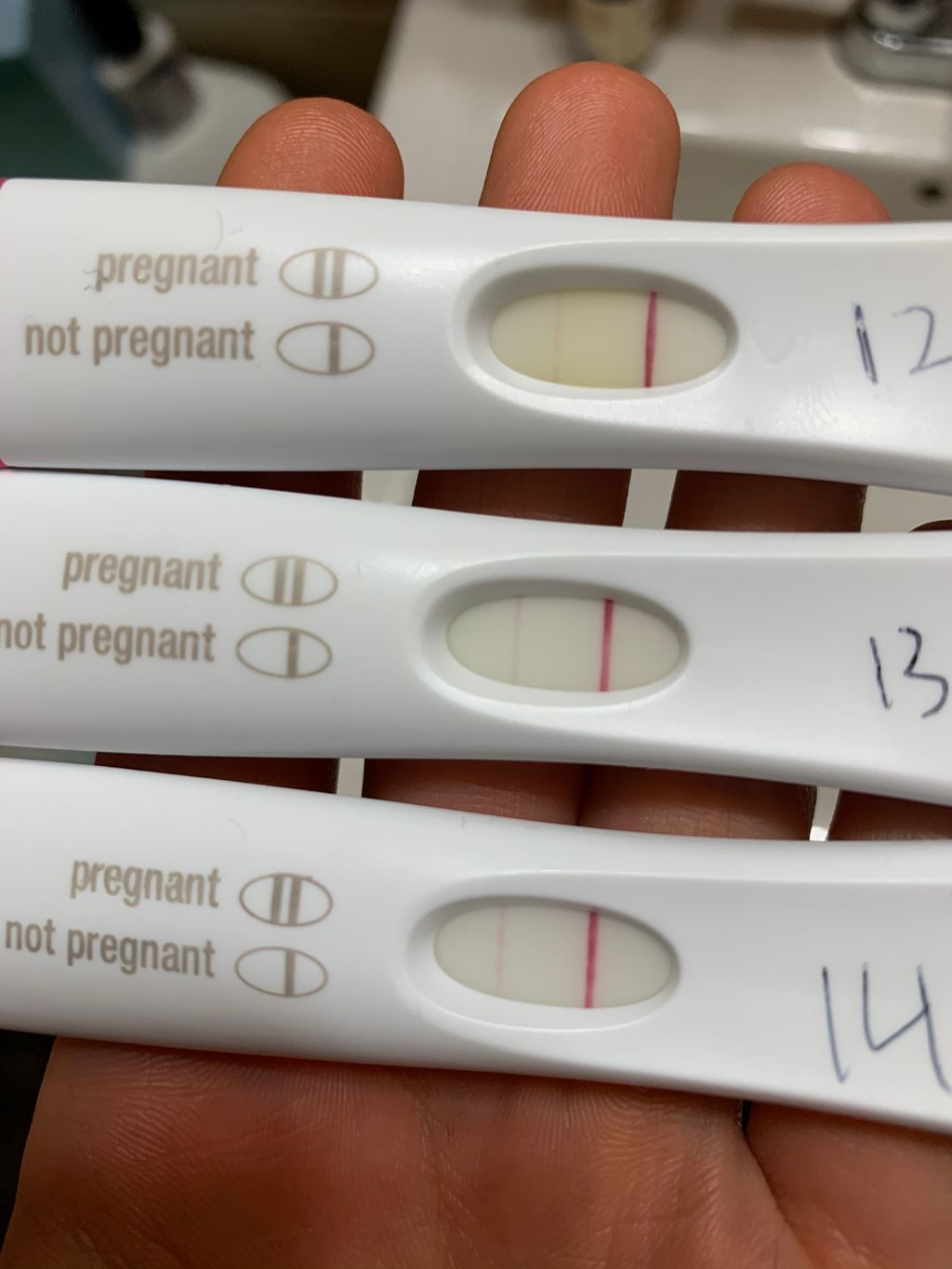 pregnancy test 12 dpo