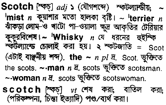 scotch meaning in bengali