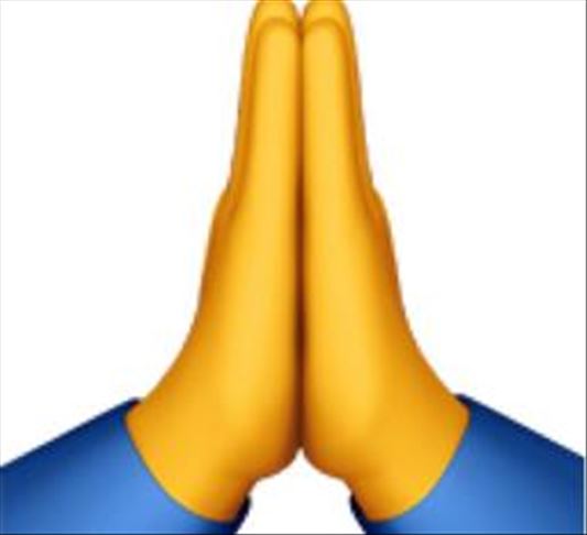 what do prayer hands emoji mean