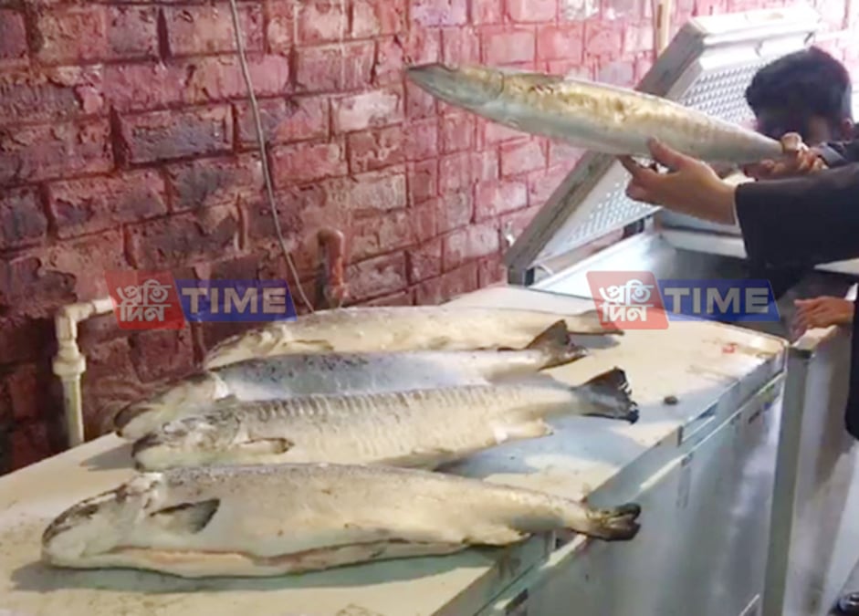 salmon fish in assamese