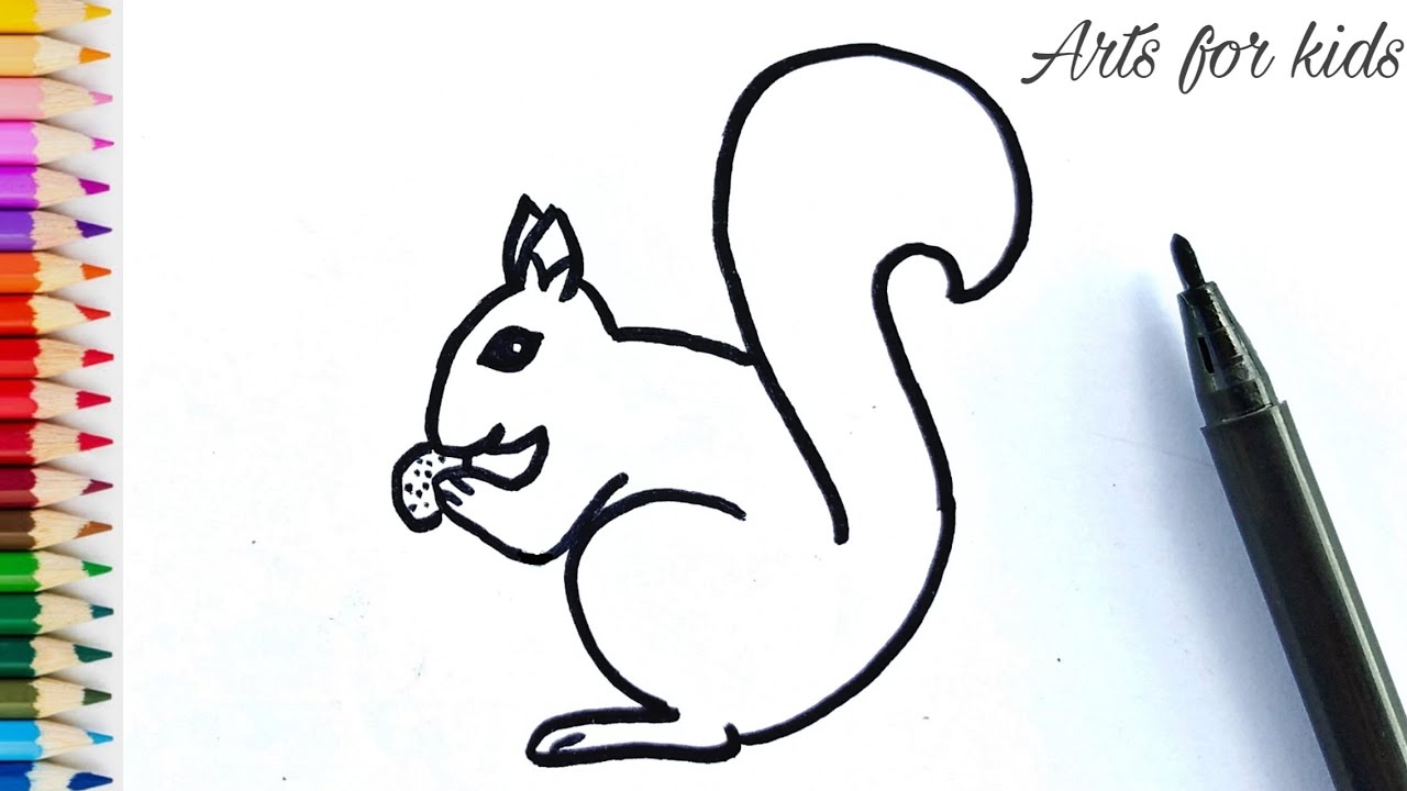 easy simple squirrel drawing