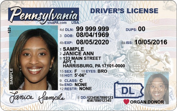 sample driving license number