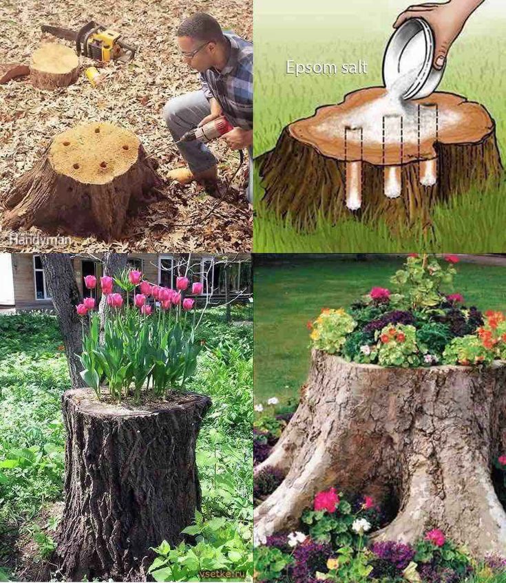tree stump ideas pinterest