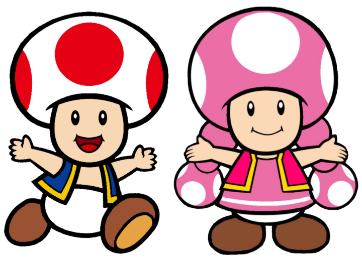 toad and toadette