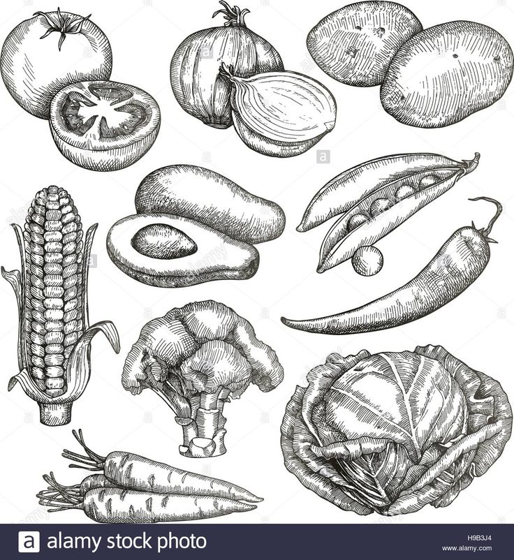 vegetable sketch images