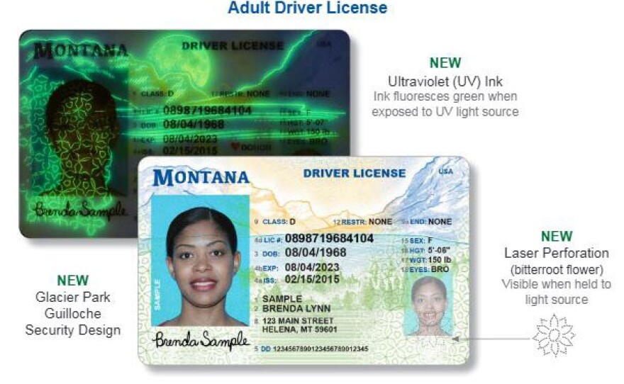 aaa renew drivers license