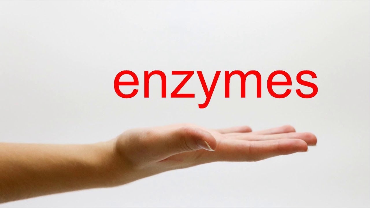 enzyme pronunciation