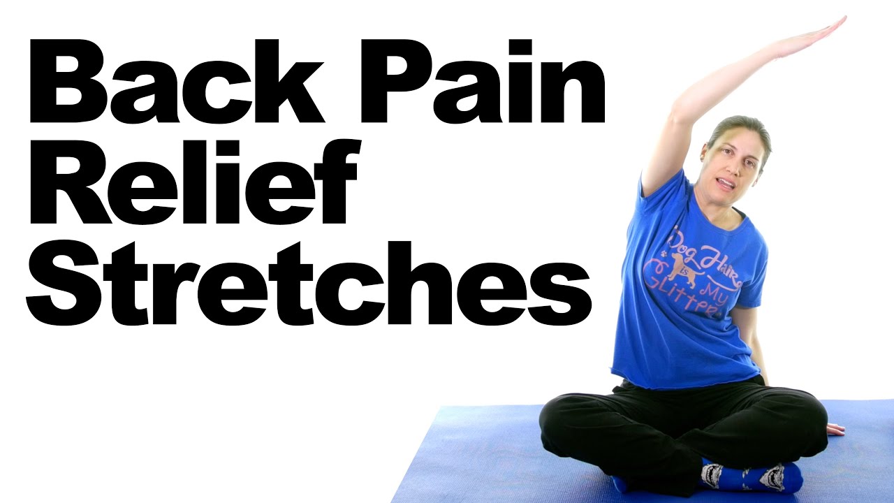 exercises for lower back pain youtube