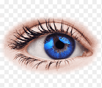 eye png