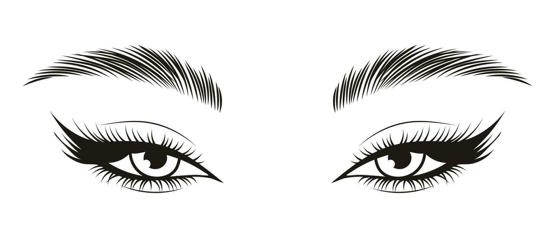 eyes and eyebrows clipart