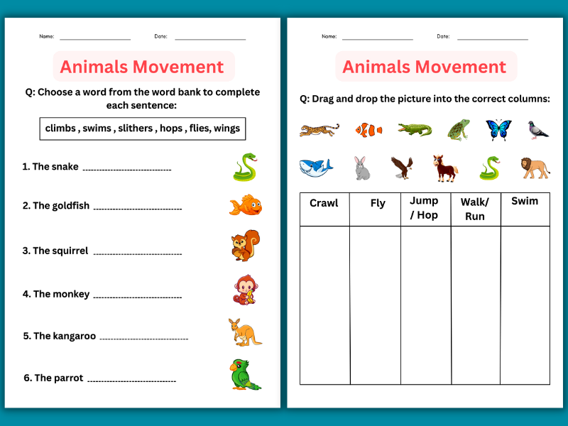 how do animals move worksheet for kindergarten