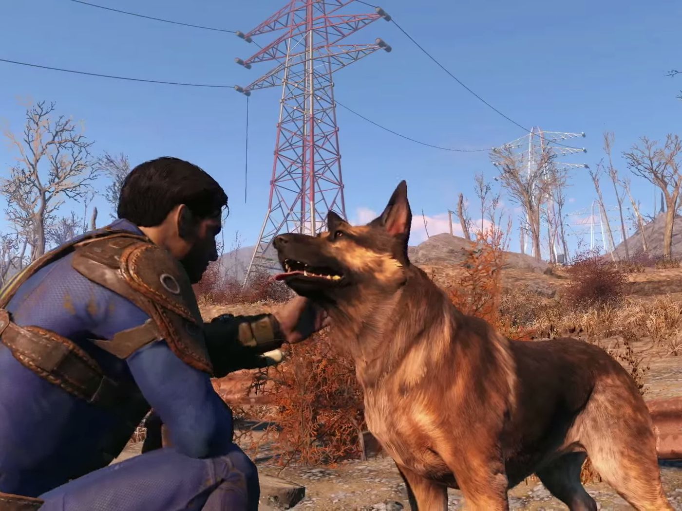 how to heal dogmeat fallout 4