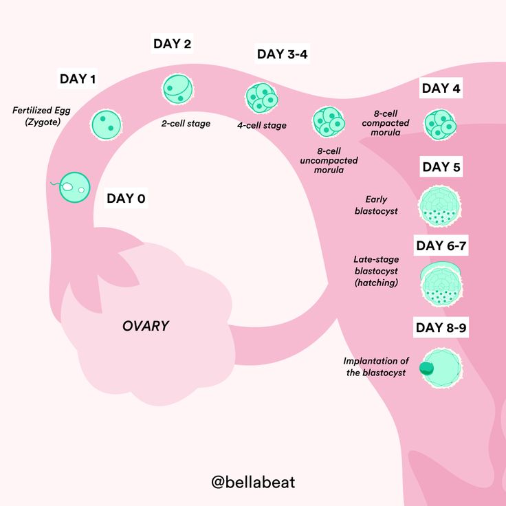 day past ovulation