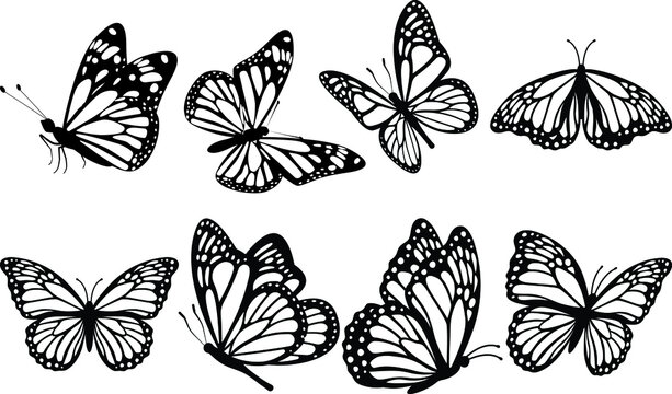 butterfly tattoo stencil