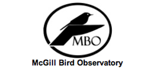 mcgill bird observatory
