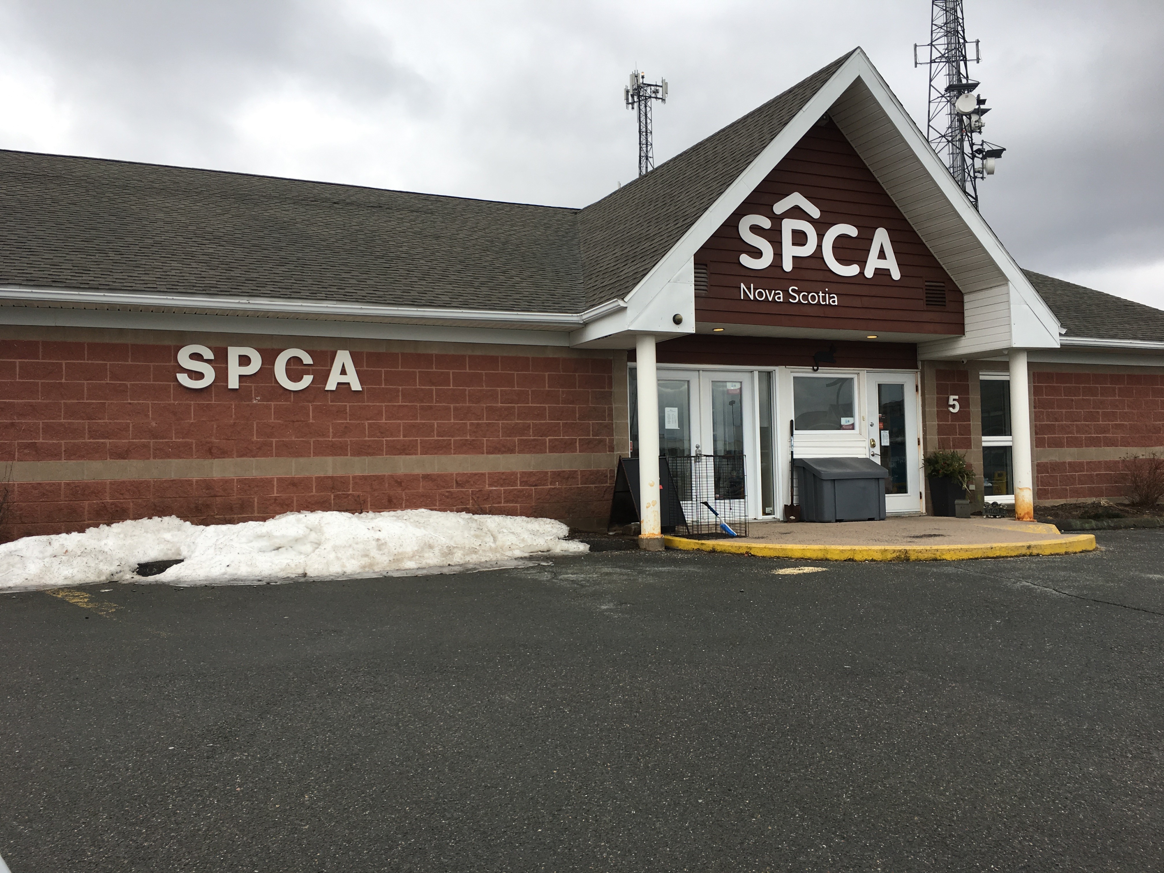 spca dartmouth