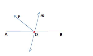 what is a segment bisector in geometry