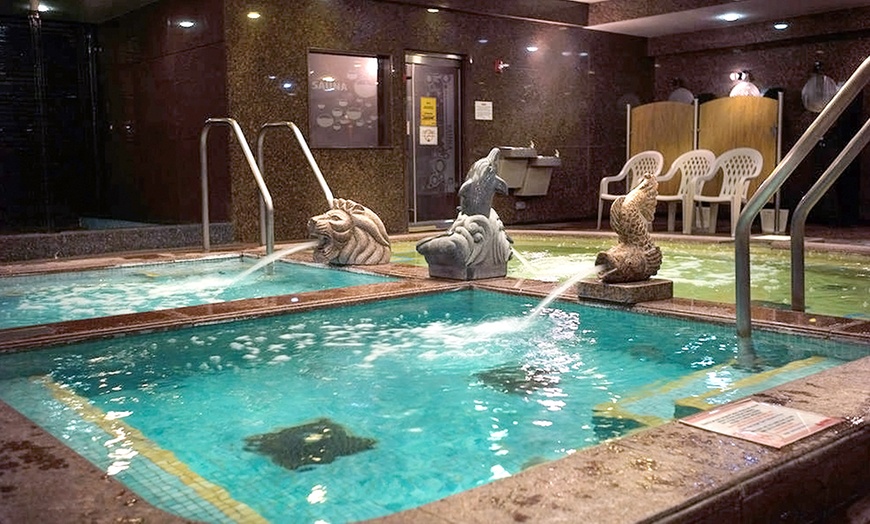 king spa & sauna niles il