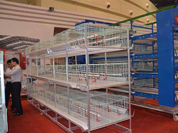 poultry cage