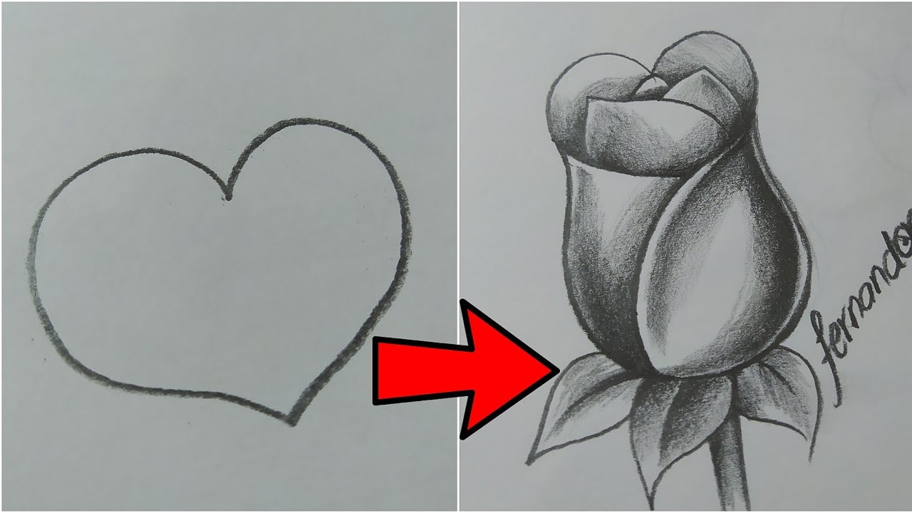 corazón rosa flor dibujos a lapiz