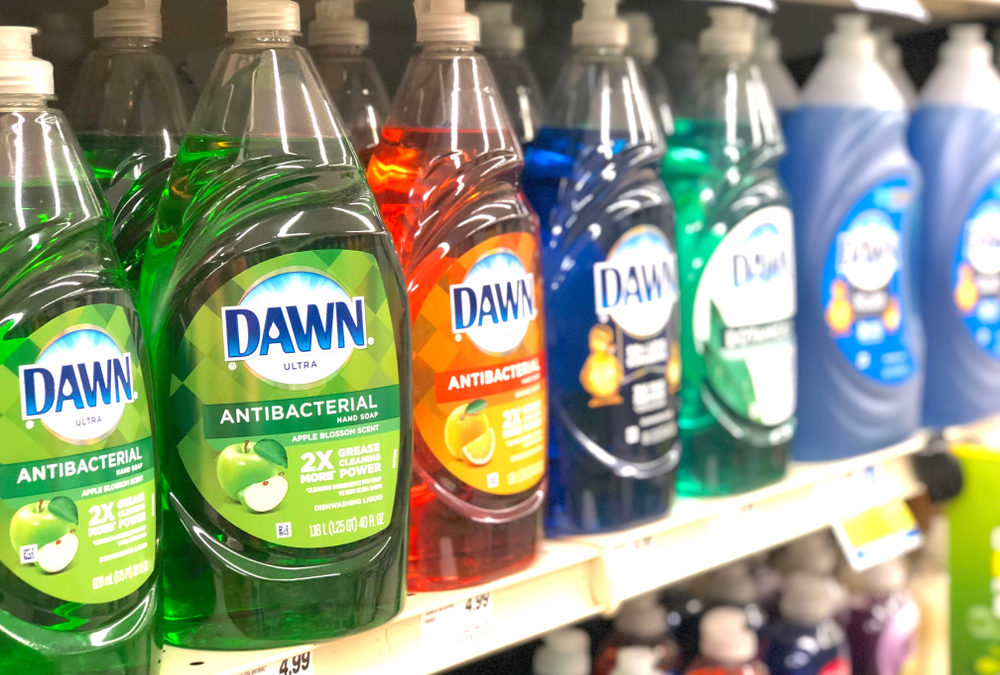 dawn dish soap for fleas