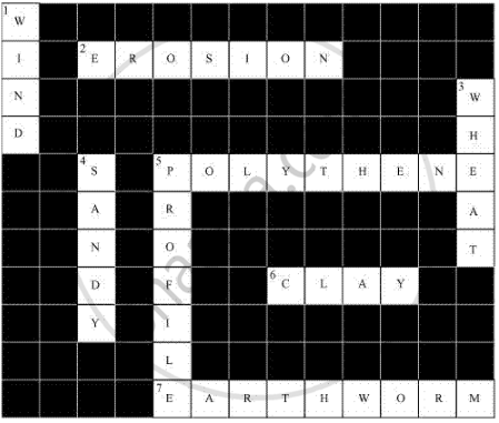 solve the following crossword puzzle