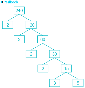 factors of 240 in pairs