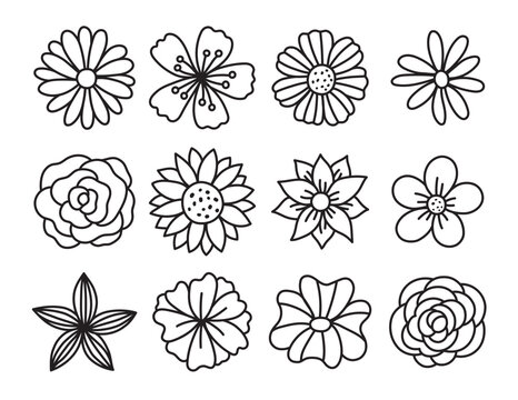 picture of flowers to draw