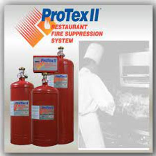 protex 2 fire suppression system