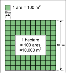 1 hectare in meters