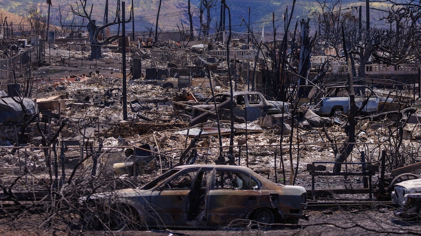 hawaii fires deliberately lit