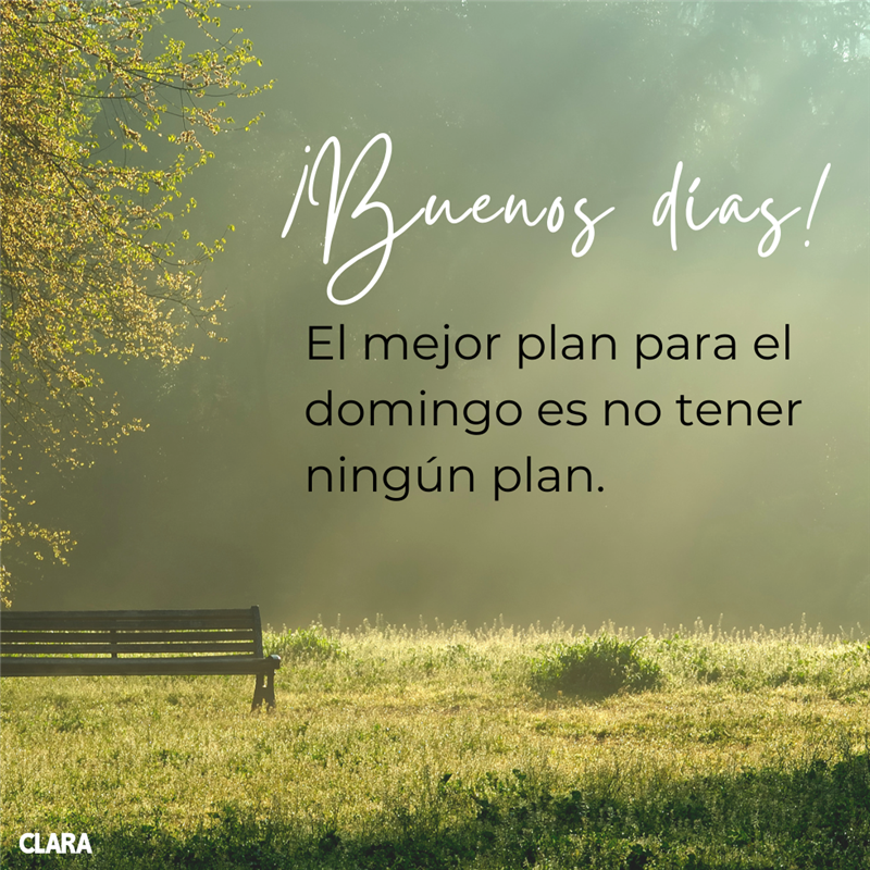 feliz domingo frases positivas