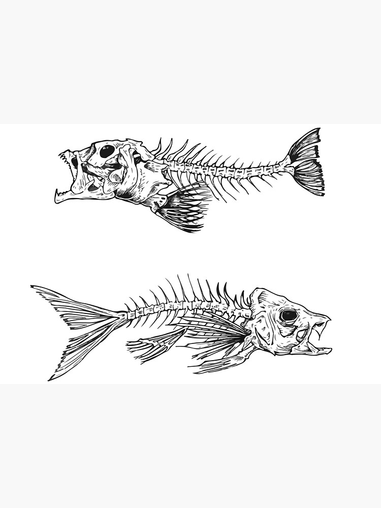 fish skeleton drawing