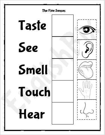 five senses cut and paste worksheets