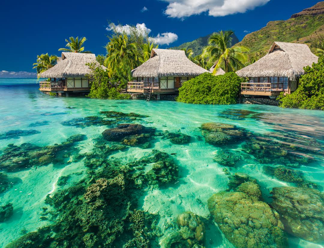 flights from san francisco to tahiti