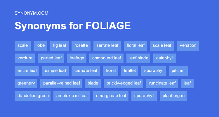 foliage synonym