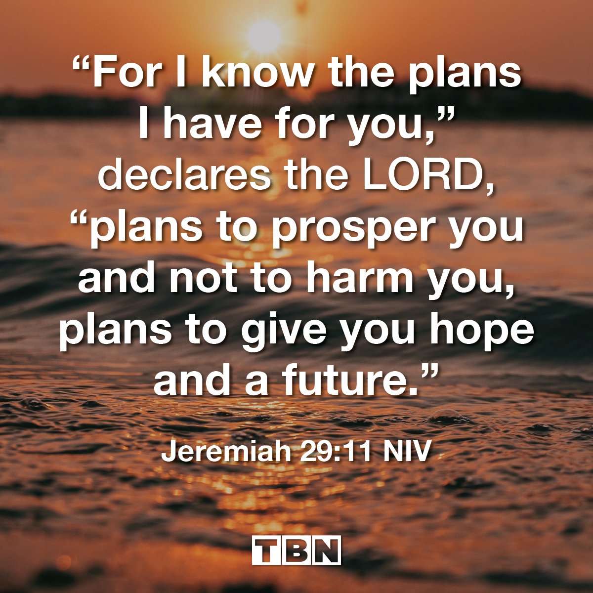 for i know the plans i have for you niv