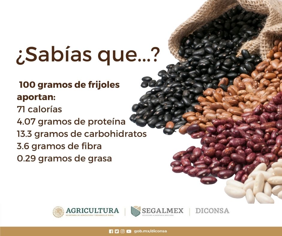 frijoles calorías 100 gr