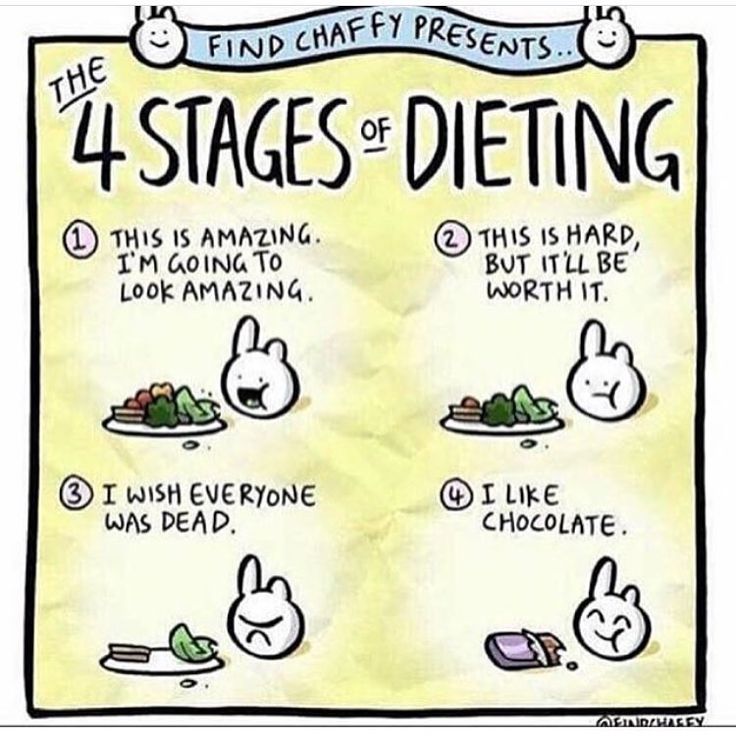 funny diet quotes jokes